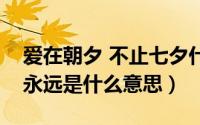 爱在朝夕 不止七夕什么意思（爱在朝夕相伴永远是什么意思）