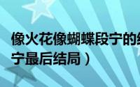 像火花像蝴蝶段宁的结局（像火花像蝴蝶段宁宁最后结局）