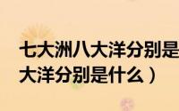 七大洲八大洋分别是什么?英文（七大洲和八大洋分别是什么）