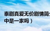 泰剧真爱无价剧情简介（真爱无价泰剧现实当中是一家吗）