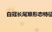 白冠长尾雉形态特征（白冠长尾雉读音）