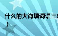 什么的大海填词语三年级（什么的大海填词语）