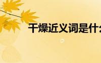 干燥近义词是什么（干燥近义词）