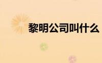 黎明公司叫什么（黎明公司全称）