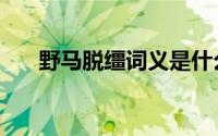 野马脱缰词义是什么（野马脱缰词义）