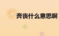 奔丧什么意思啊（奔丧什么意思）