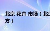 北京 花卉 市场（北京花卉批发市场在什么地方）