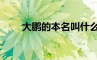 大鹏的本名叫什么（大鹏叫什么名）