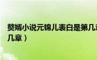 赘婿小说元锦儿表白是第几章啊（赘婿小说元锦儿表白是第几章）