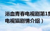 浴血青春电视剧第1集集在线观看（浴血青春电视猫剧情介绍）