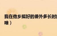 我在他乡挺好的番外多长时间（我在他乡挺好的番外篇讲的啥）