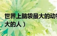 世界上脑袋最大的动物是什么（世界上脑袋最大的人）