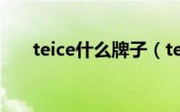 teice什么牌子（tecnica是哪国品牌）