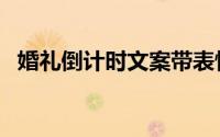 婚礼倒计时文案带表情（婚礼倒计时文案）