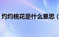 灼灼桃花是什么意思（灼灼桃花凉什么意思）