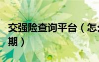 交强险查询平台（怎么查车辆保险什么时候到期）