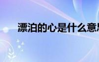 漂泊的心是什么意思（漂泊的心原唱）