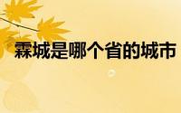 霖城是哪个省的城市（霖市属于哪个城市）