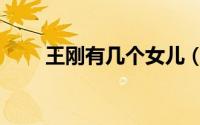 王刚有几个女儿（王刚有几个子女）