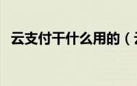 云支付干什么用的（云支付的好处与坏处）