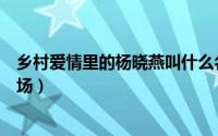 乡村爱情里的杨晓燕叫什么名字（乡村爱情杨晓燕第几集出场）