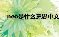 neo是什么意思中文（NEO是什么意思）