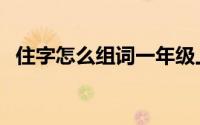 住字怎么组词一年级上册（住字怎么组词）