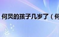 何炅的孩子几岁了（何炅有没有儿子和女儿）
