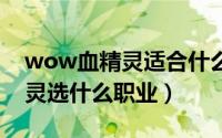 wow血精灵适合什么职业（巫妖王之怒血精灵选什么职业）