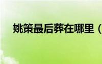 姚策最后葬在哪里（姚策最后遗书原文）