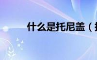 什么是托尼盖（托尼盖理论讲解）