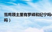 雪鹰领主里有罗峰和纪宁吗小说（雪鹰领主里有罗峰和纪宁吗）