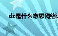 dz是什么意思网络语（DZ是什么意思）