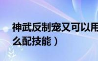神武反制宠又可以用了吗?（神武4反制宠怎么配技能）