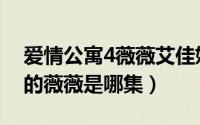 爱情公寓4薇薇艾佳妮（爱情公寓4与你邂逅的薇薇是哪集）