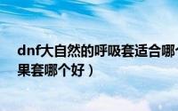 dnf大自然的呼吸套适合哪个职业（dnf大自然的呼吸和水果套哪个好）