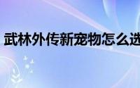 武林外传新宠物怎么选（武林外传宠物排行）