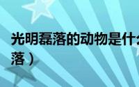光明磊落的动物是什么动物（什么动物光明磊落）