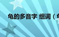 龟的多音字 组词（龟的多音字组词2个）