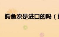 鳄鱼漆是进口的吗（鳄鱼漆属于几线品牌）