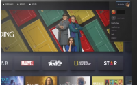 如何删除您的Disney+个人资料