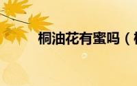 桐油花有蜜吗（桐油花有什么用）