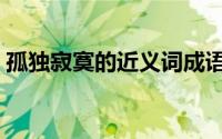 孤独寂寞的近义词成语（孤独寂寞的近义词）