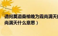 请问莫道桑榆晚为霞尚满天的意思是什么（莫道桑榆晚红霞尚满天什么意思）