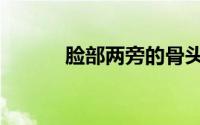 脸部两旁的骨头（粘杆处读音）
