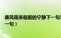 暴风雨来临前的宁静下一句怎么接（暴风雨来临前的宁静下一句）