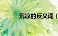 荒凉的反义词（傲慢的反义词）