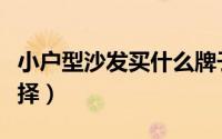 小户型沙发买什么牌子好（小户型沙发如何选择）