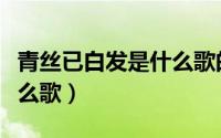 青丝已白发是什么歌的歌词（青丝已白发是什么歌）