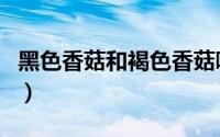 黑色香菇和褐色香菇哪个好（褐菇跟香菇区别）